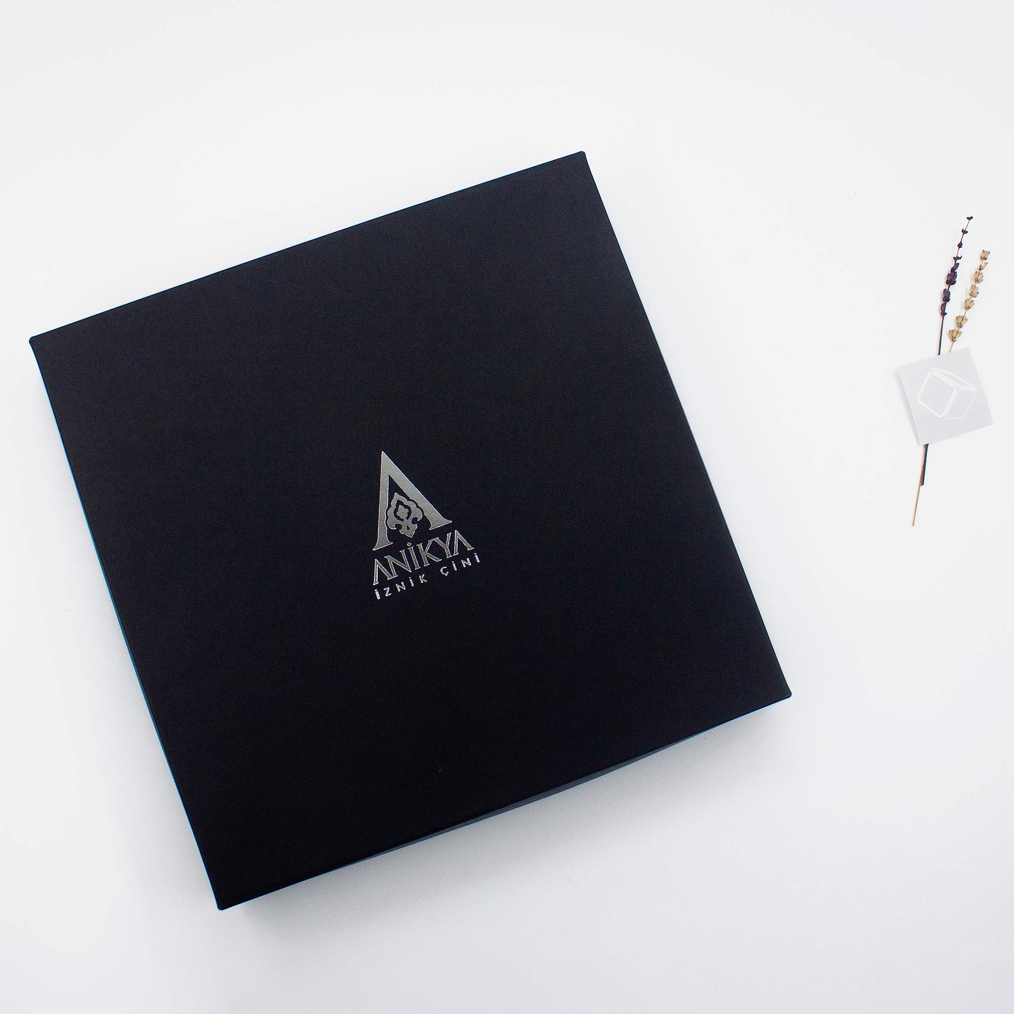 01_AnikyaCiniTepsiKutusuSiyah