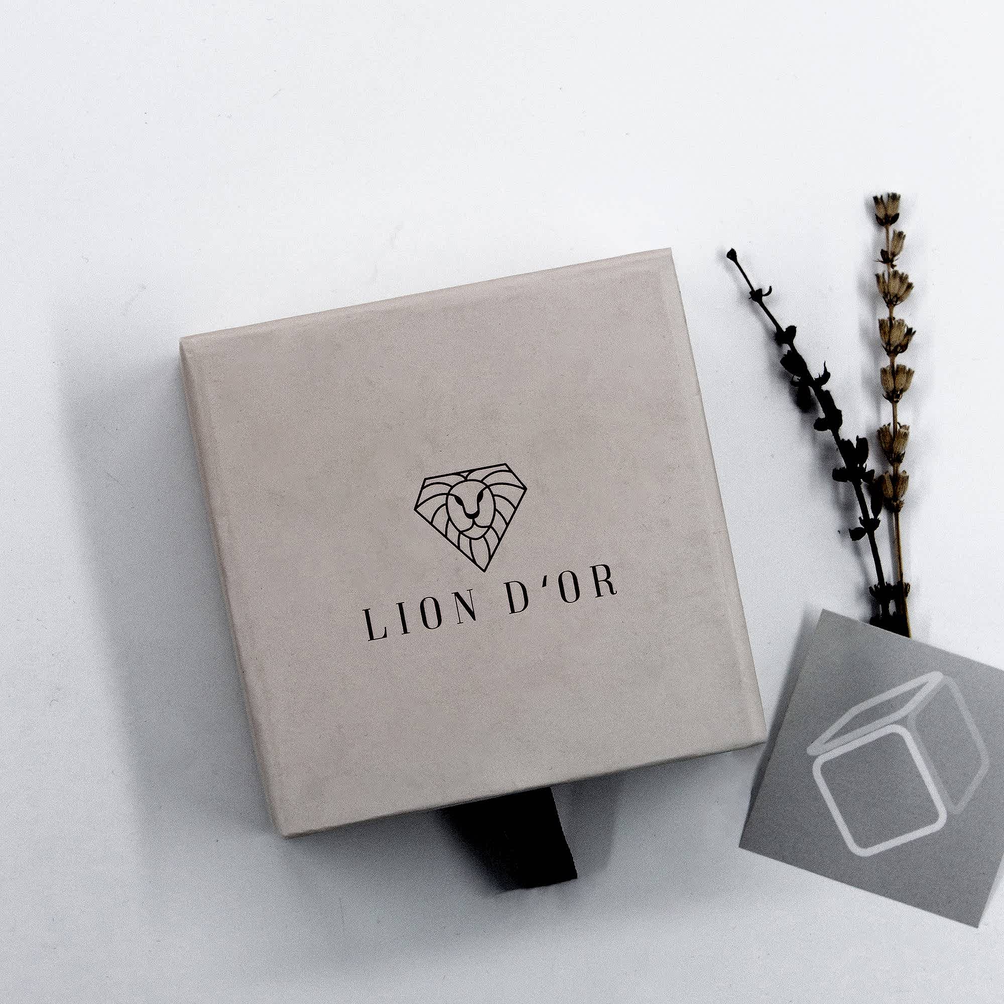 01_LıonDo_r_TakıKutu